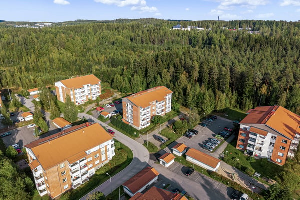 Heinälampi
