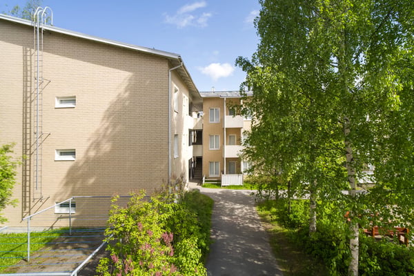 Peltola