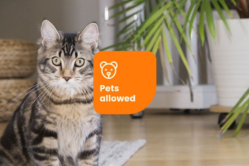 Avara's rental apartments - Pets allowed