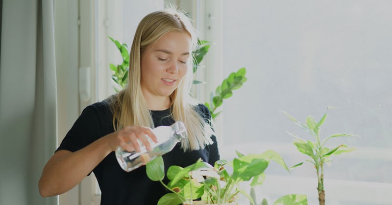 Avaran vuosi 2019 - Kestävää tuottoa kutistuvalla hiilijalanjäljellä