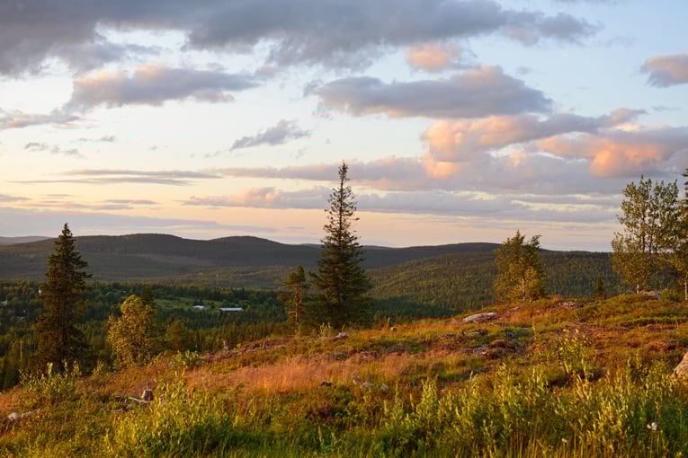 Rovaniemi on portti Lapin kauniiseen luontoon ja erämaahan, jossa mieli lepää.